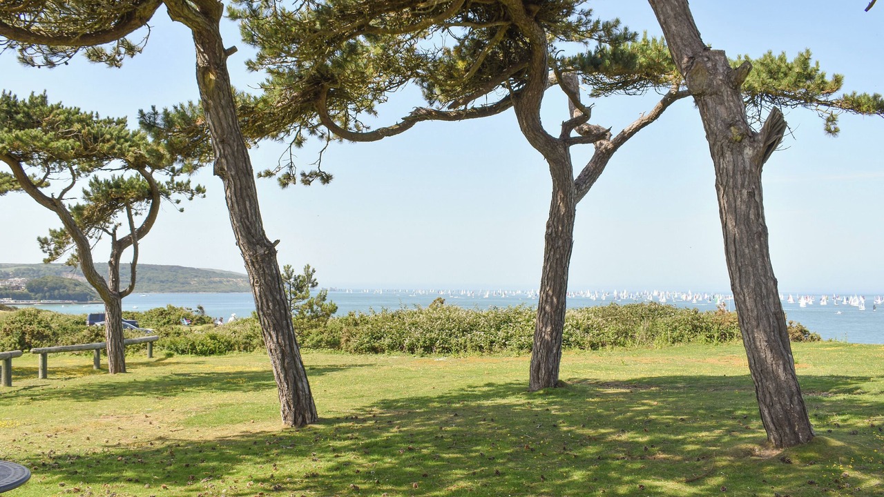 Photo of Outdoor in Freshwater