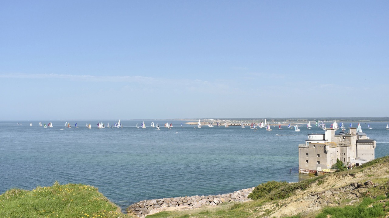 Photo of Others in Freshwater