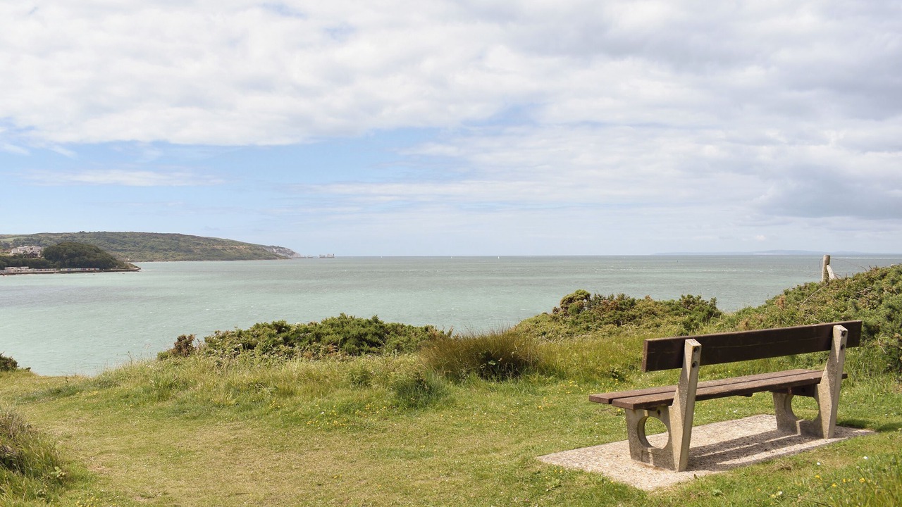 Photo of Outdoor in Freshwater