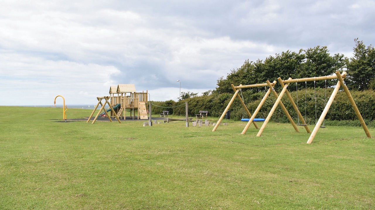 Photo of Others in Freshwater