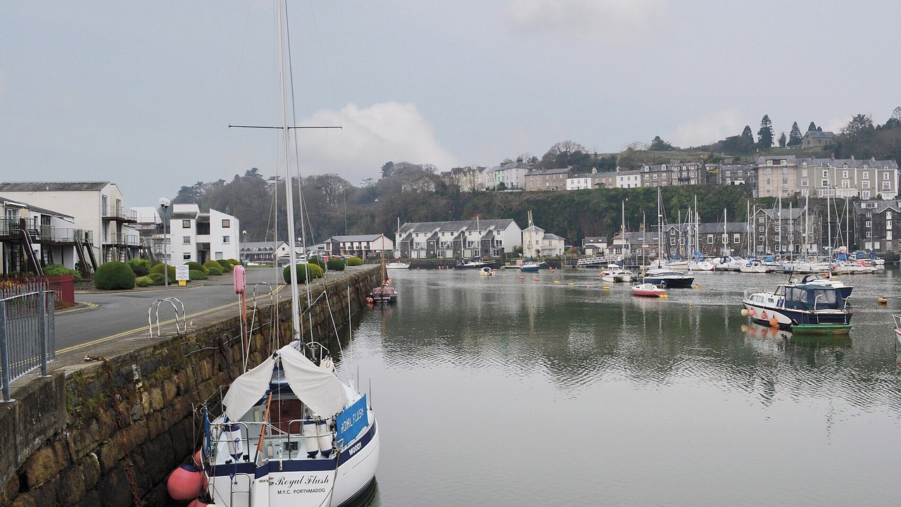 Photo of Others in Borth-y-Gest