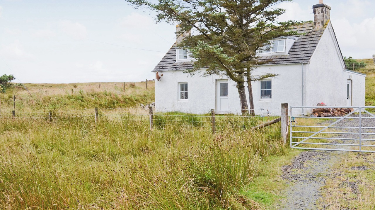 Photo of Others in Talmine