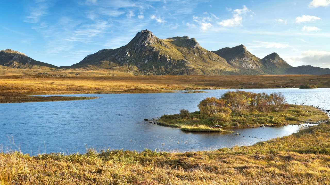 Photo of Others in Talmine