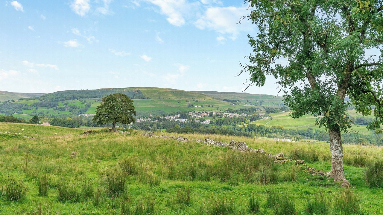 Photo of Others in Alston