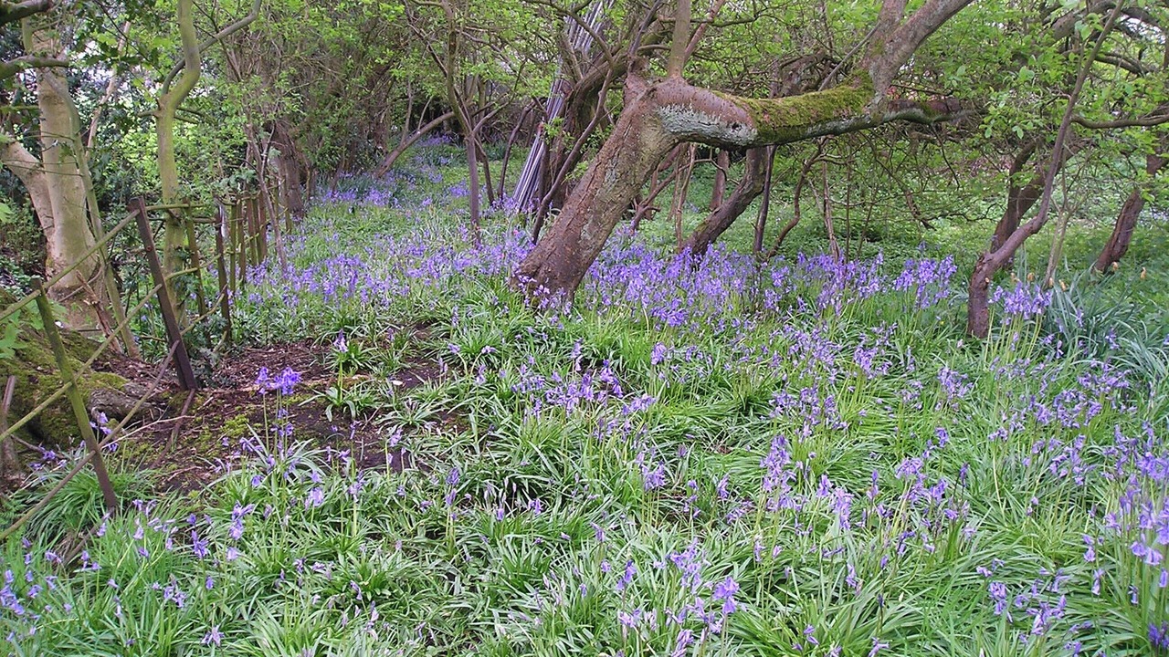 Photo of Others in Newcastle-Under-Lyme