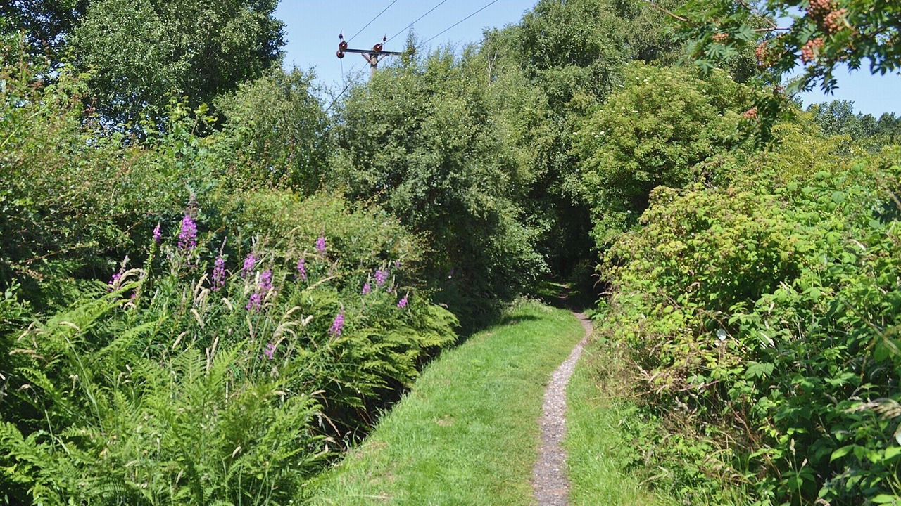 Photo of Others in Newcastle-Under-Lyme