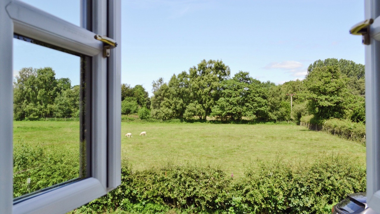 Photo of Others in Newcastle-Under-Lyme