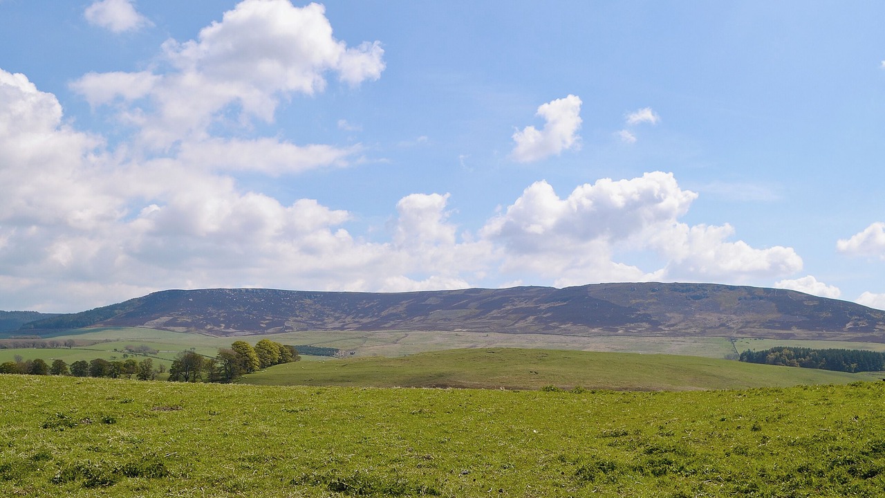 Photo of Others in Hepple