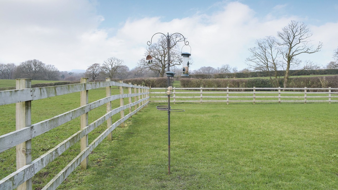 Photo of Others in Preston