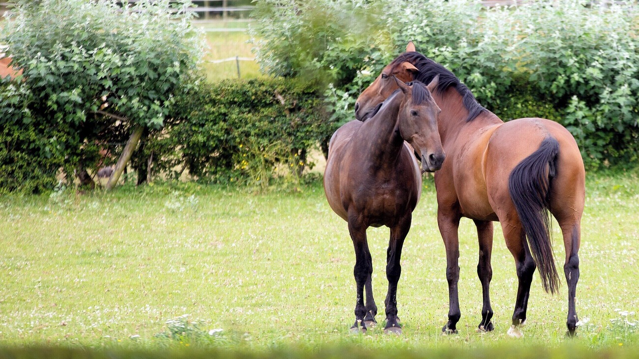 Photo of Others in Radstock