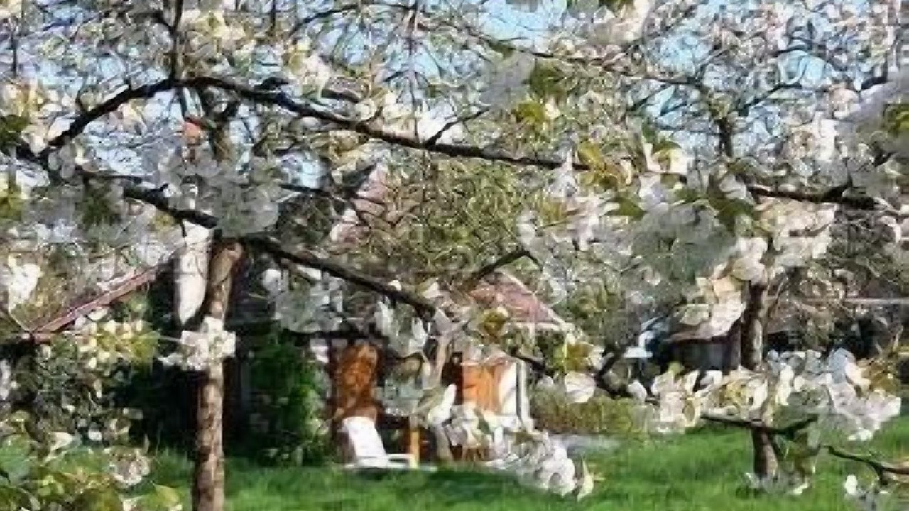 Photo of Outdoor in Ablon