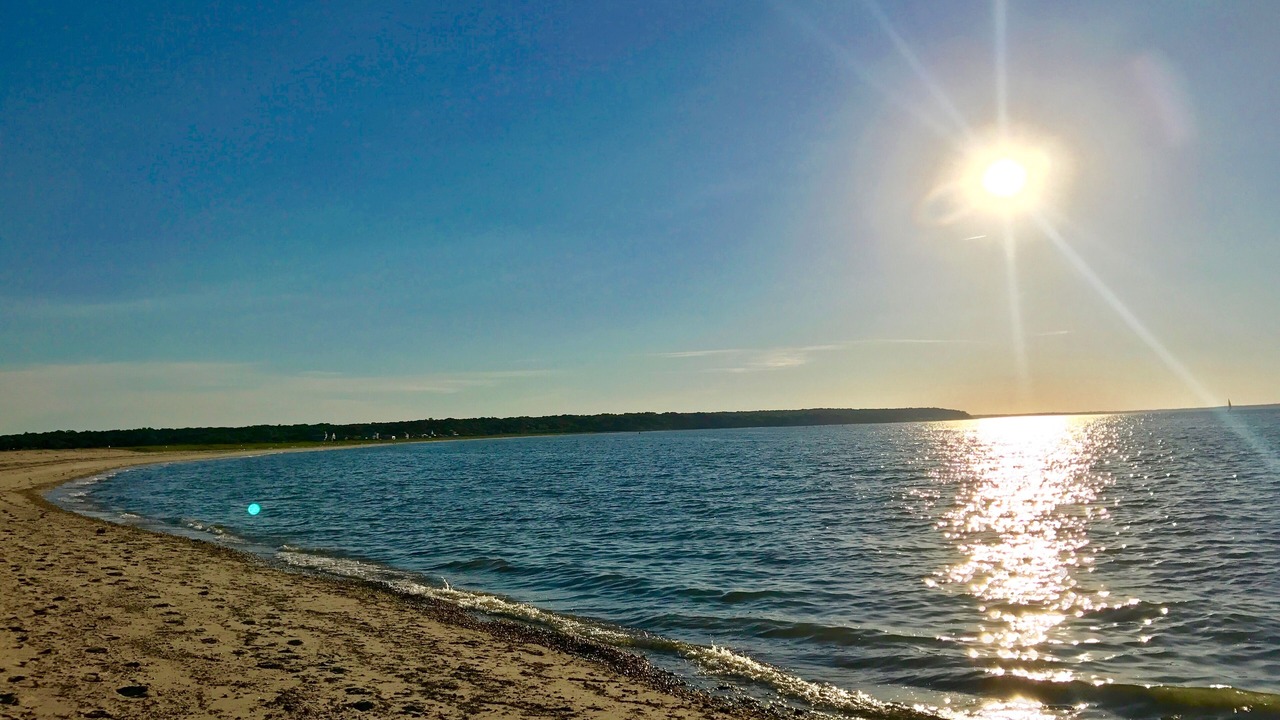 Photo of Others in Northwest Harbor