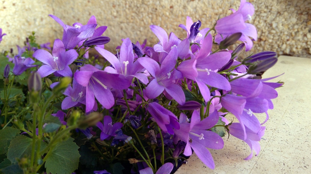 Photo of Outdoor in Murchante