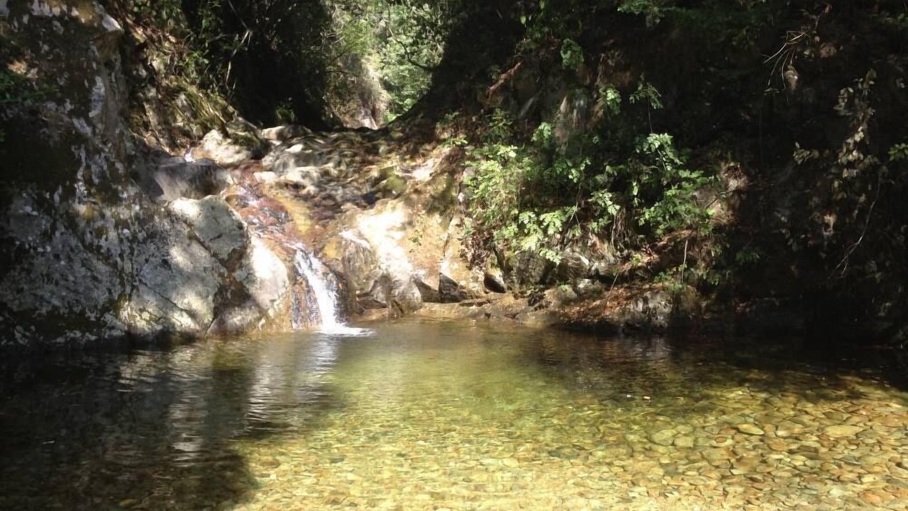 Photo of Others in Peri