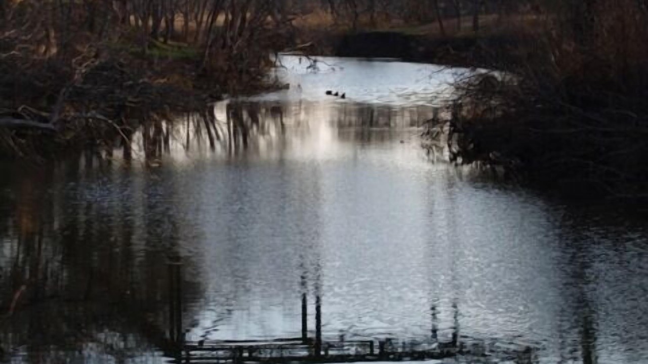 Photo of Others in Weir