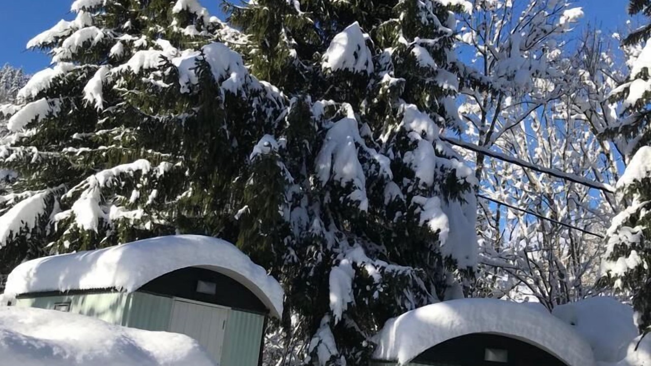 Photo of Others in Saint-Jean-de-Sixt