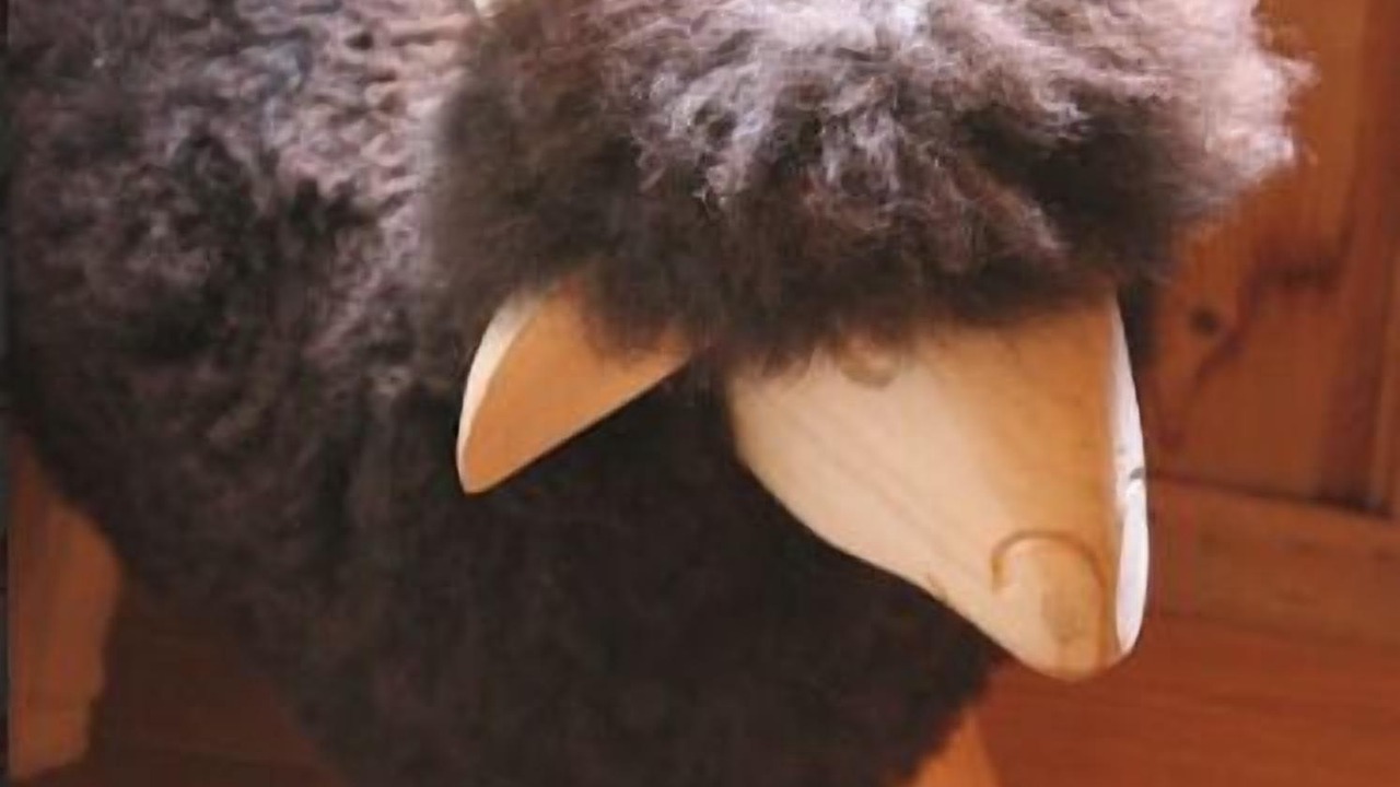 Photo of Others in Saint-Jean-de-Sixt