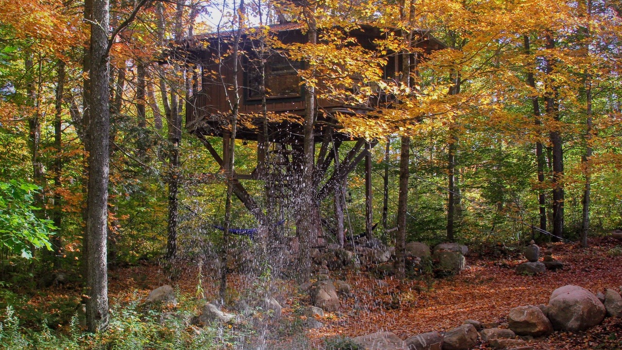 Photo of Others in Meacham