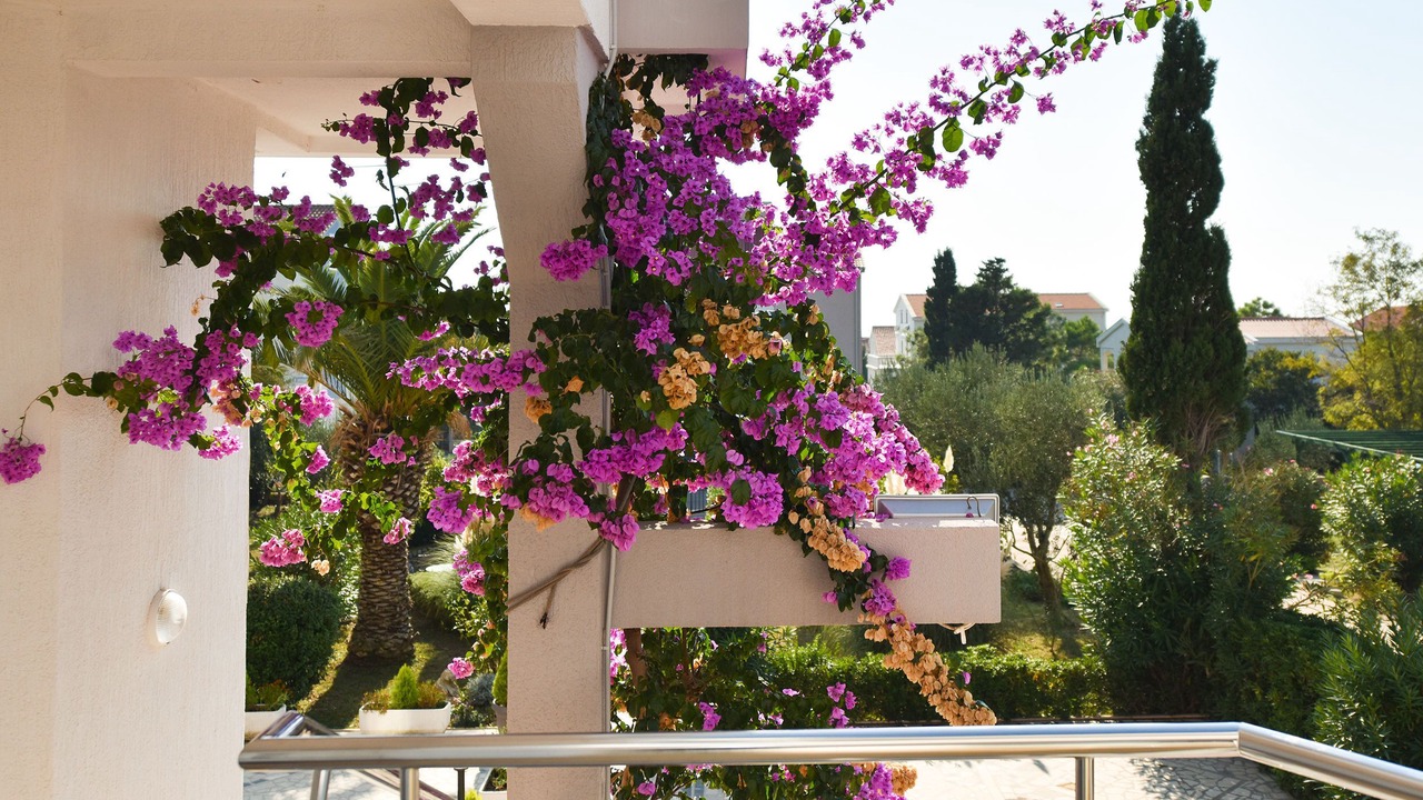 Photo of Outdoor in Novalja