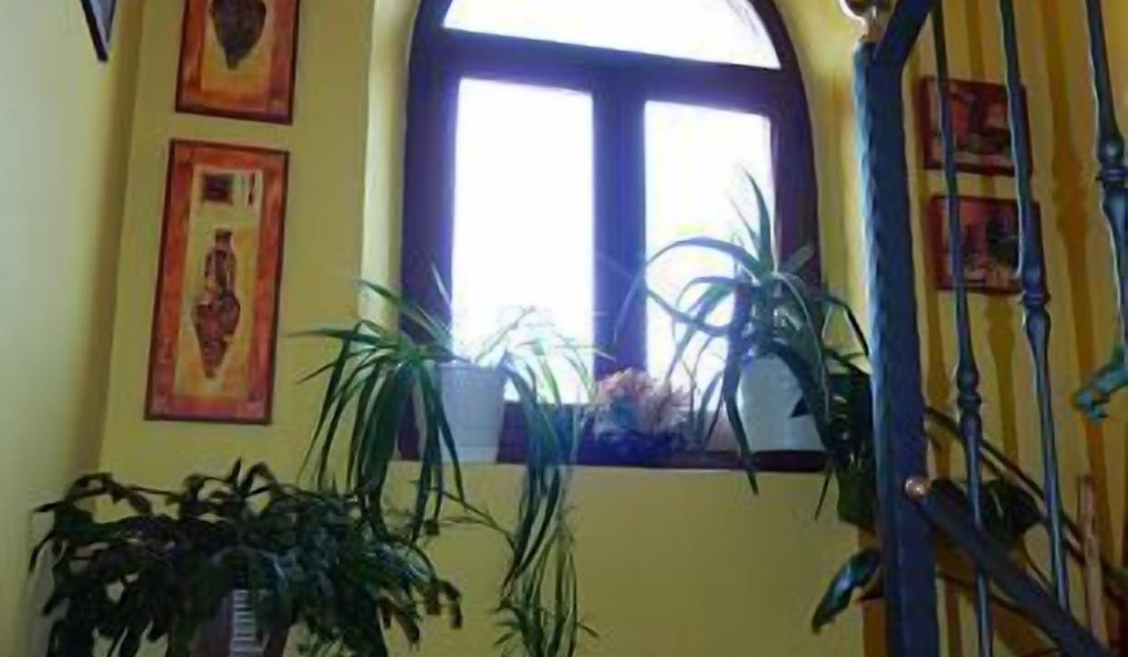 Photo of Others in Hontoria del Pinar