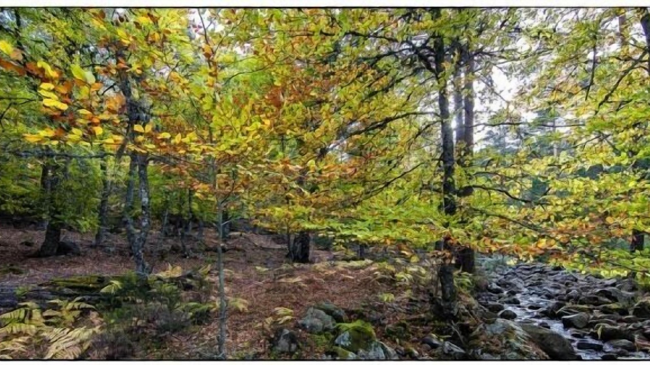 Photo of Outdoor in Hontoria del Pinar