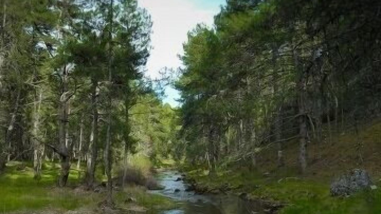 Photo of Outdoor in Hontoria del Pinar