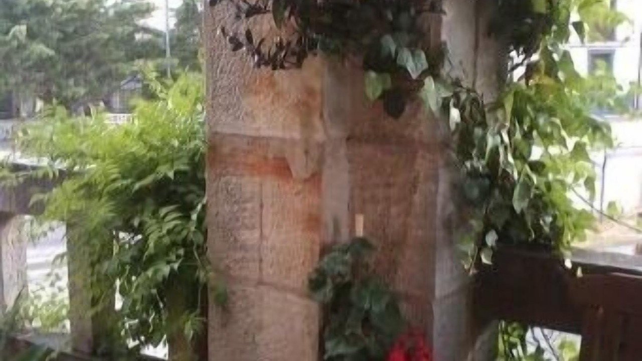 Photo of Outdoor in Hontoria del Pinar