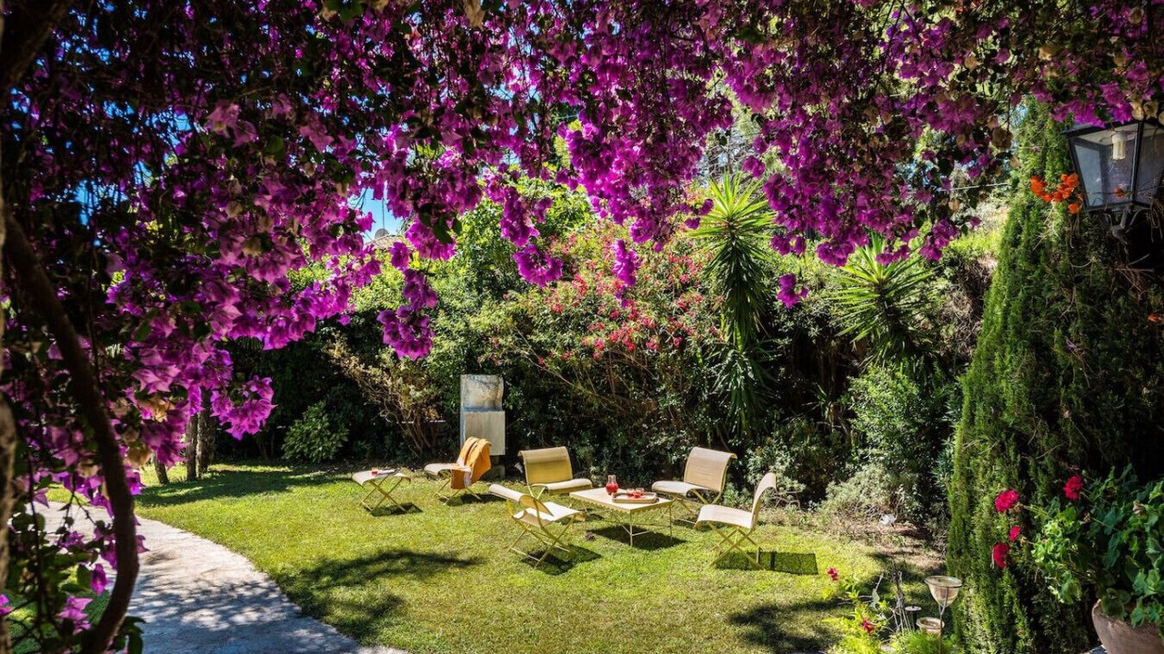 Photo of Others in Antibes