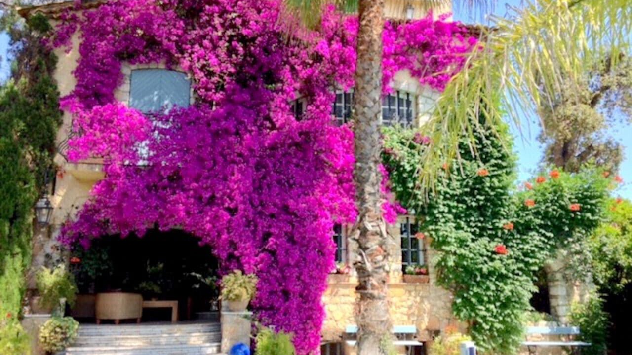 Photo of Others in Antibes