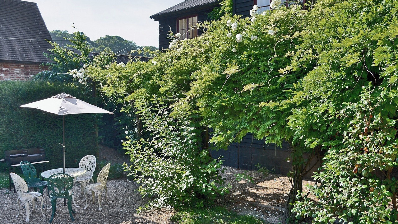 Photo of Outdoor in Denton