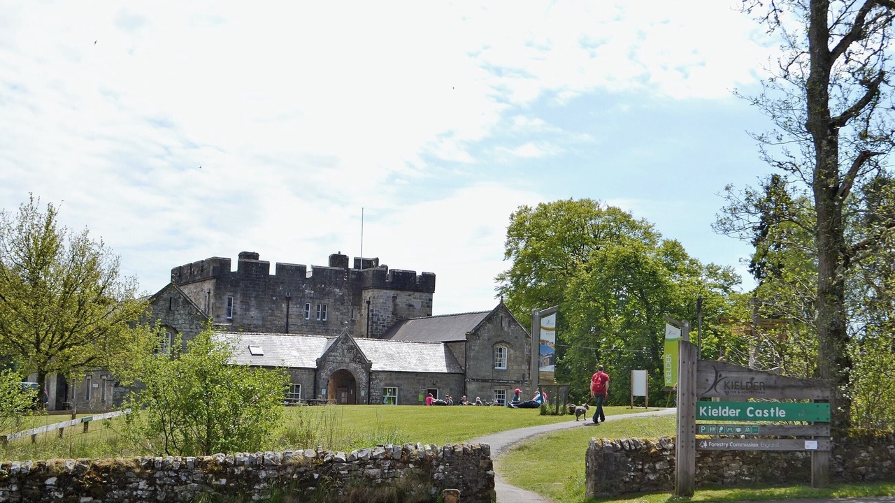 Photo of Others in Hexham