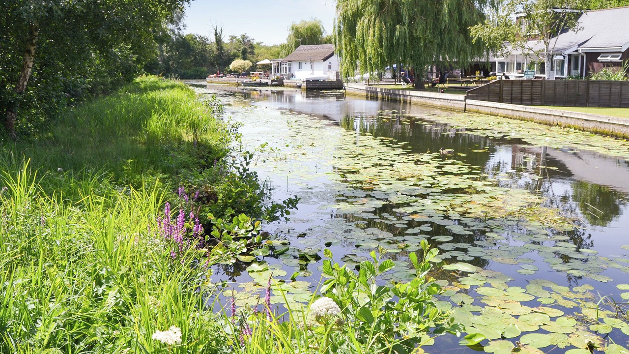 Photo of Others in Horning