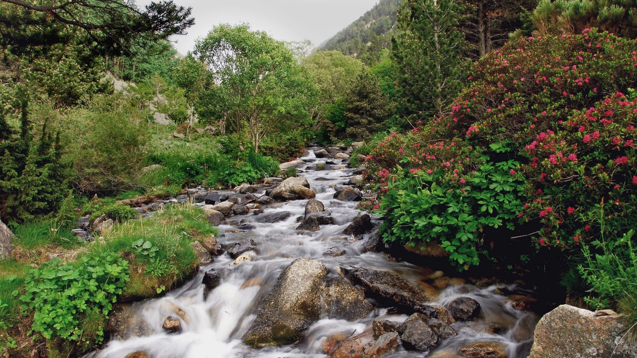 Photo of Outdoor in Font-Romeu-Odeillo-Via
