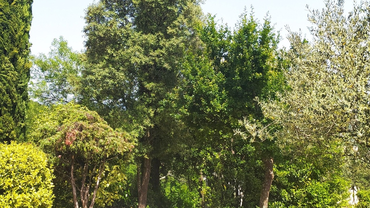 Photo of Outdoor in Lachapelle-sous-Aubenas