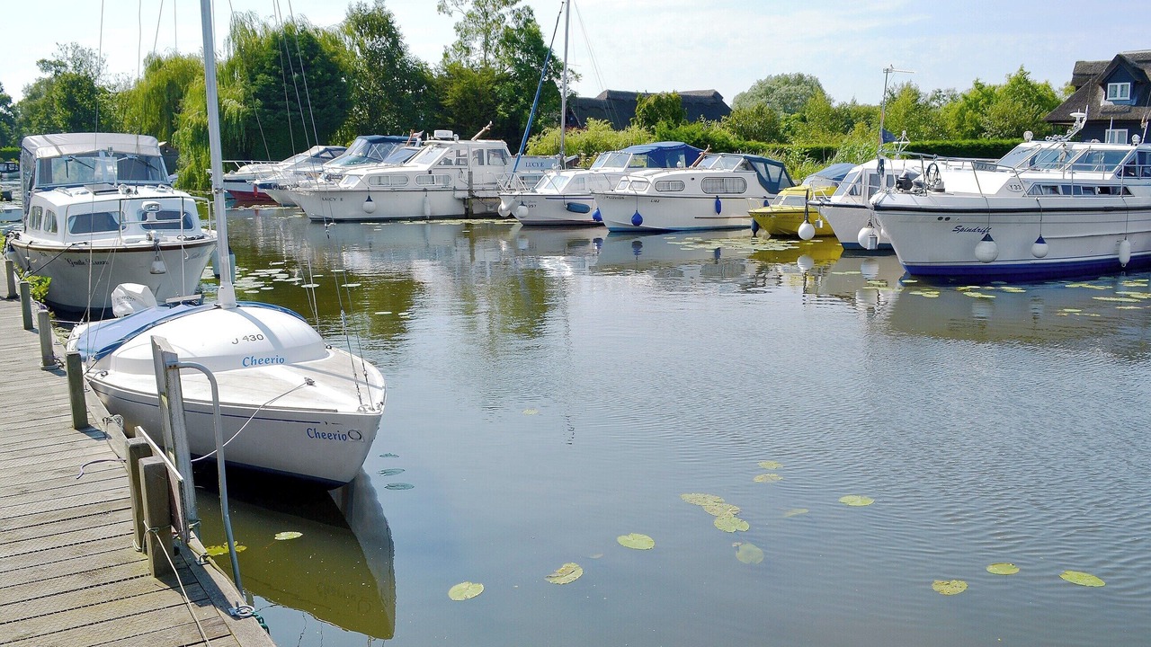 Photo of Others in Horning