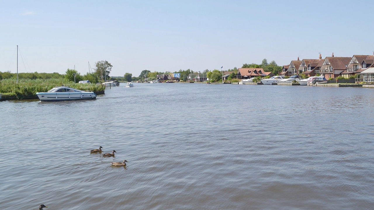 Photo of Others in Horning