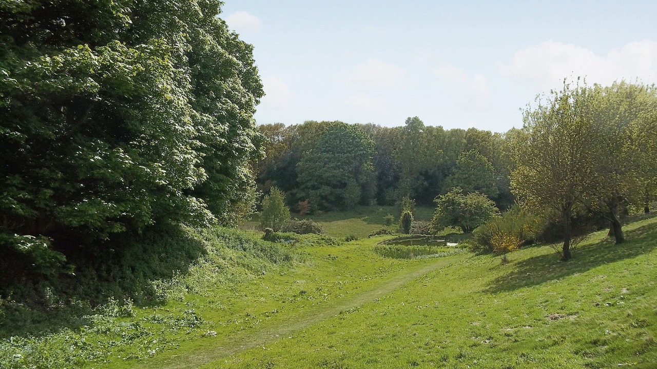 Photo of Others in Holt