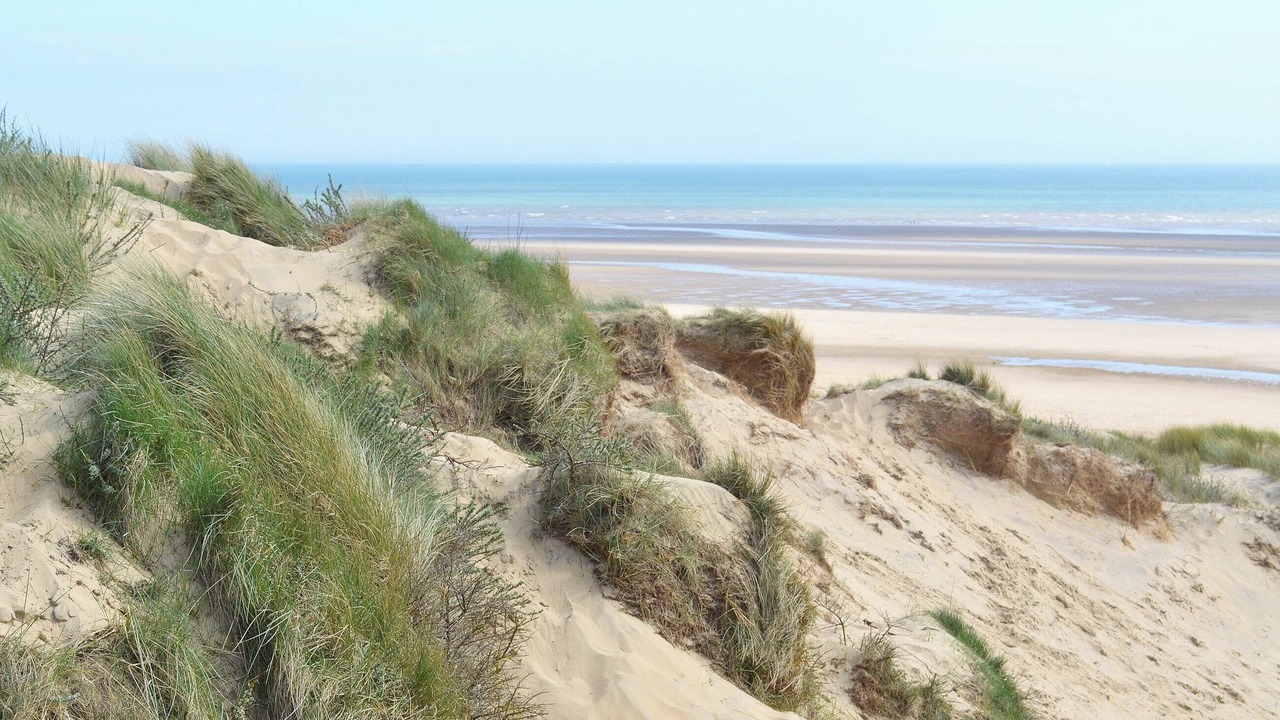 Photo of Others in Rye Foreign