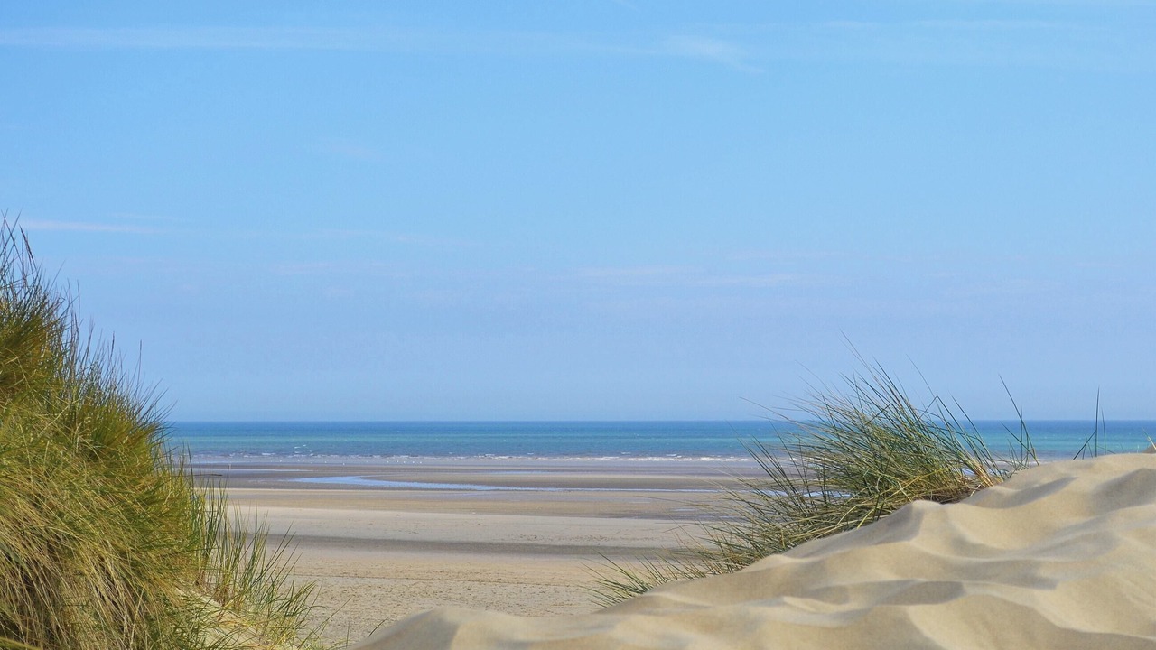 Photo of Others in Rye Foreign