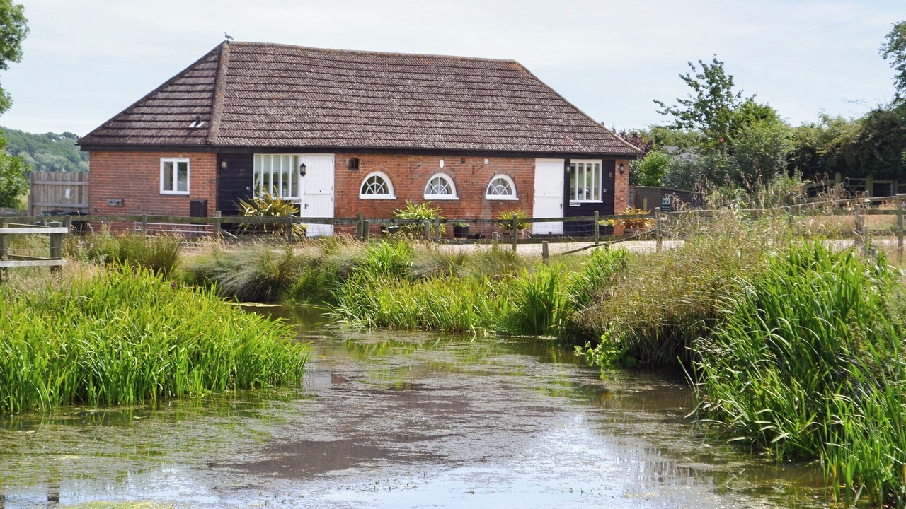 Photo of Others in Rye Foreign
