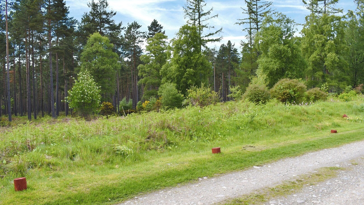 Photo of Others in Fochabers