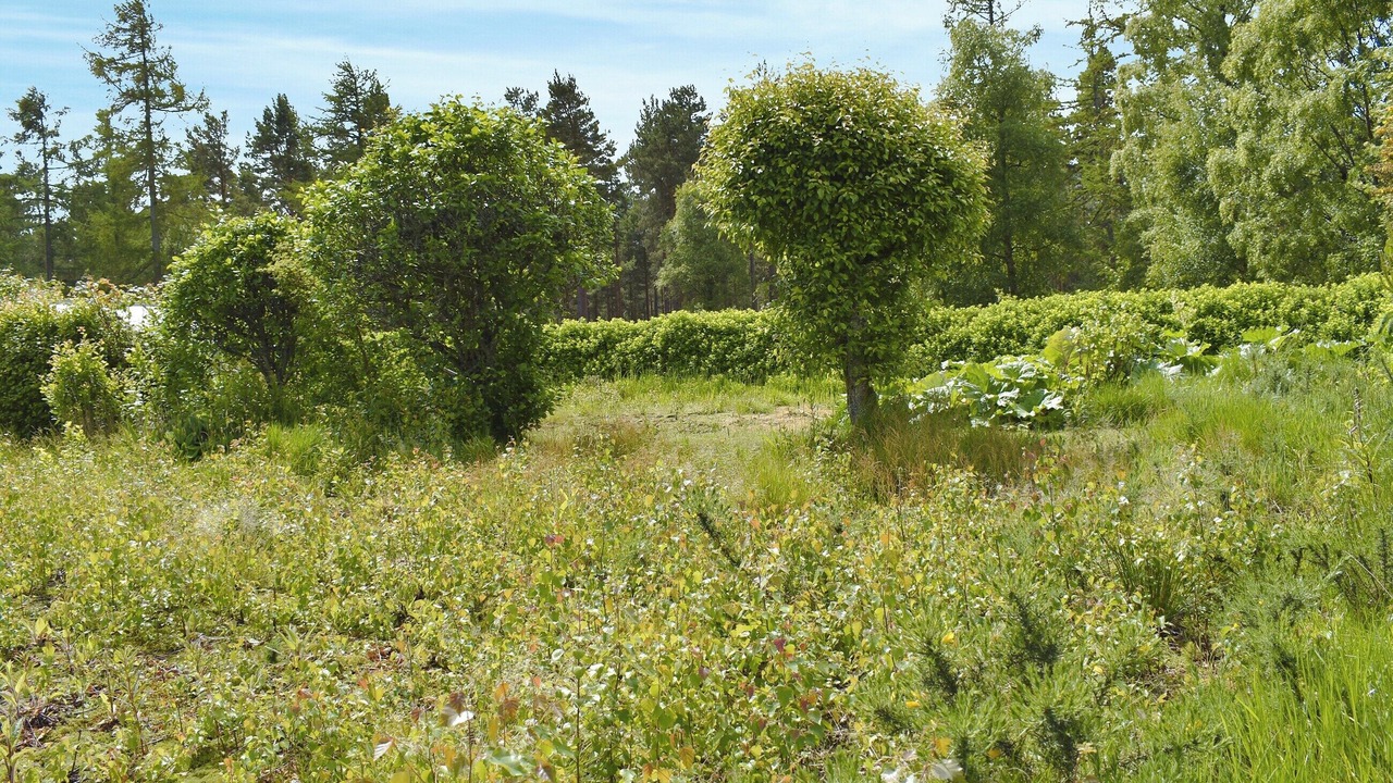 Photo of Others in Fochabers