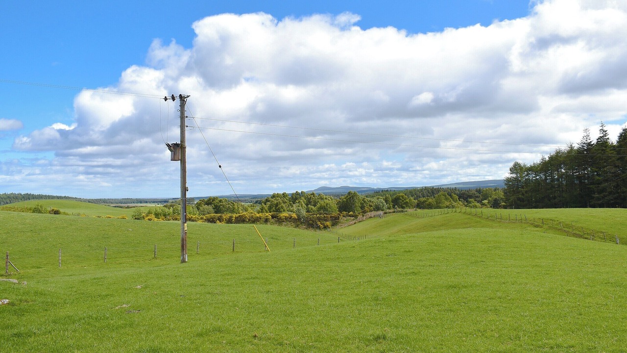 Photo of Others in Fochabers