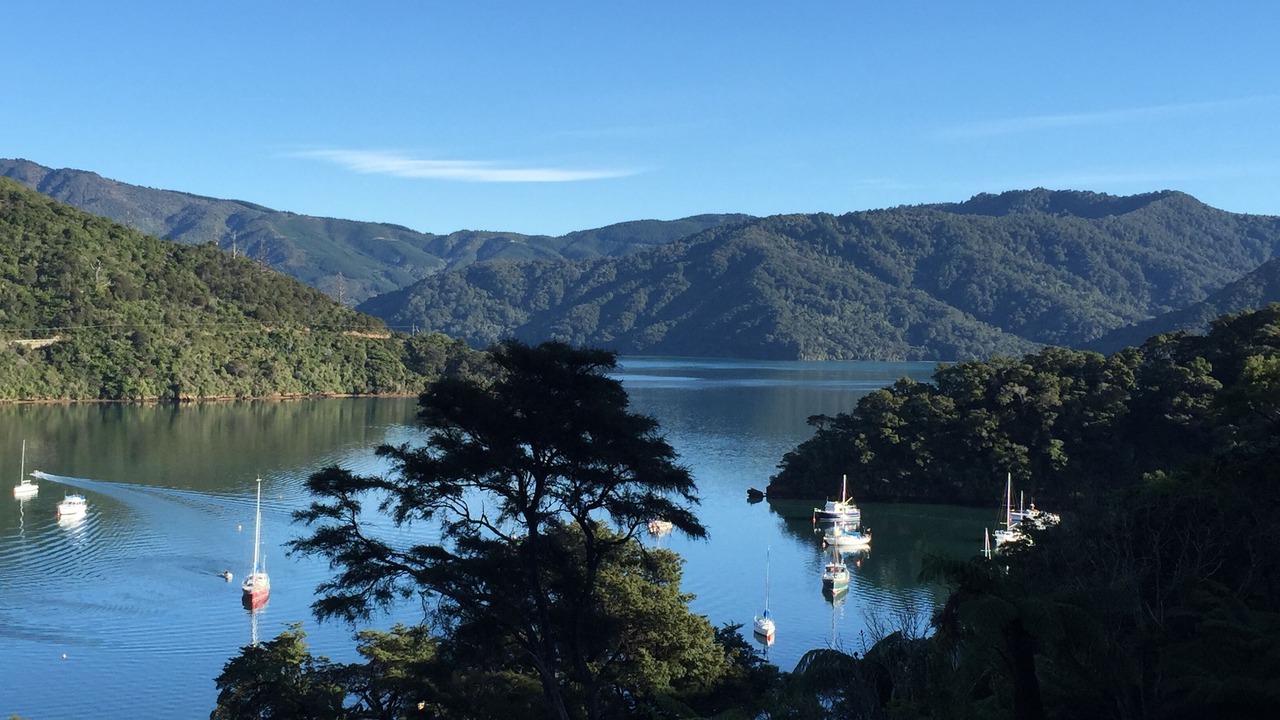 Photo of Others in Waikawa Bay