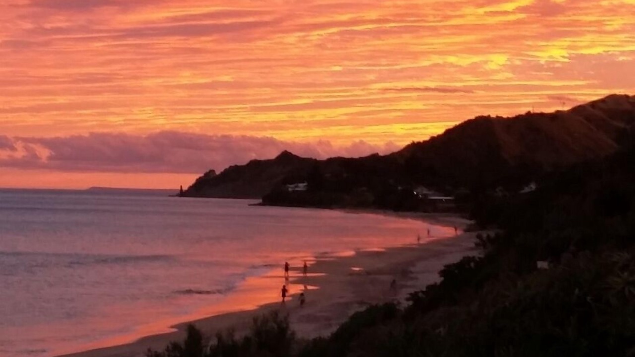 Photo of Others in Wainui