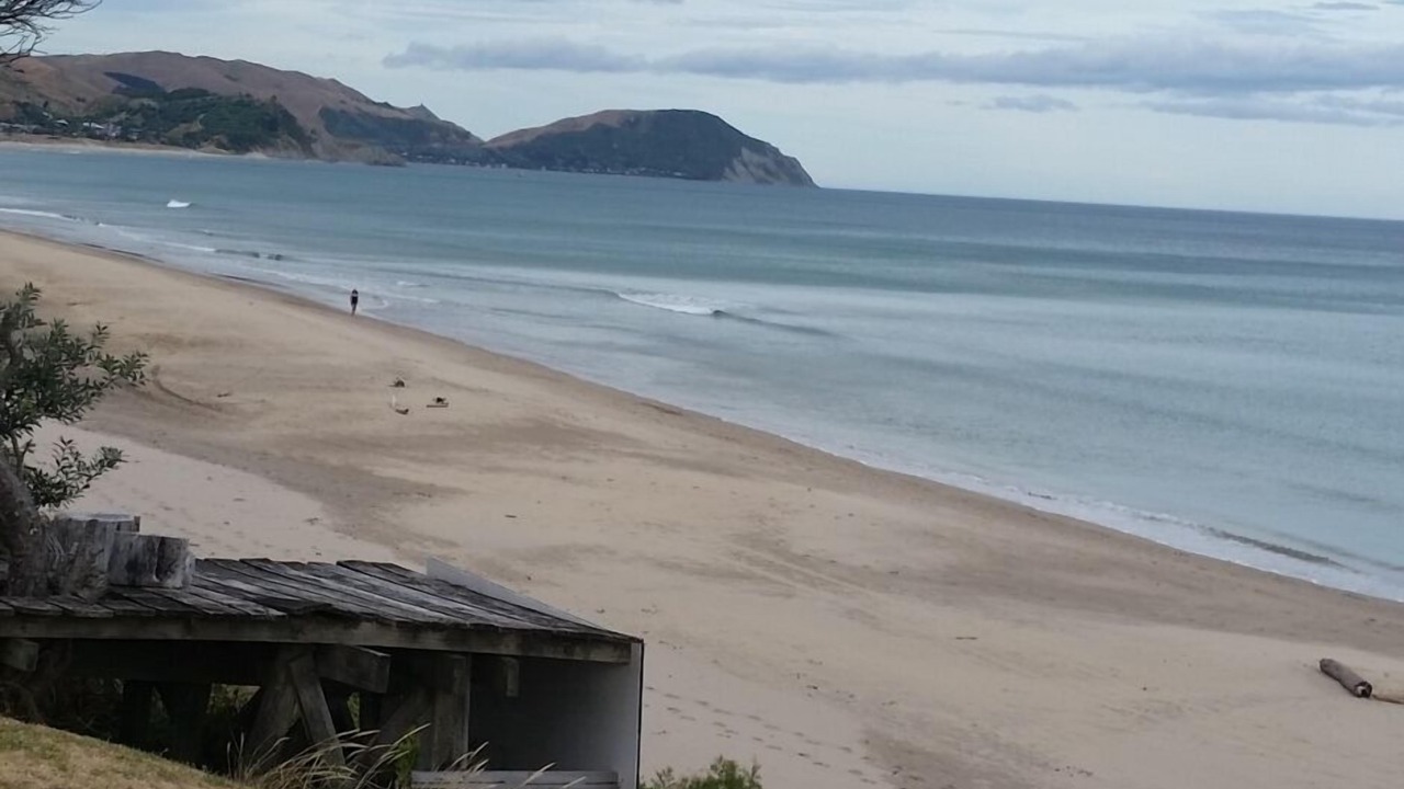 Photo of Others in Wainui