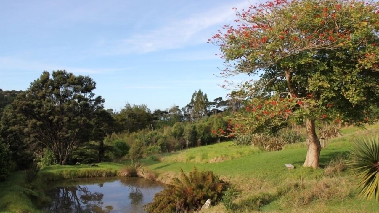 Photo of Others in Whangateau