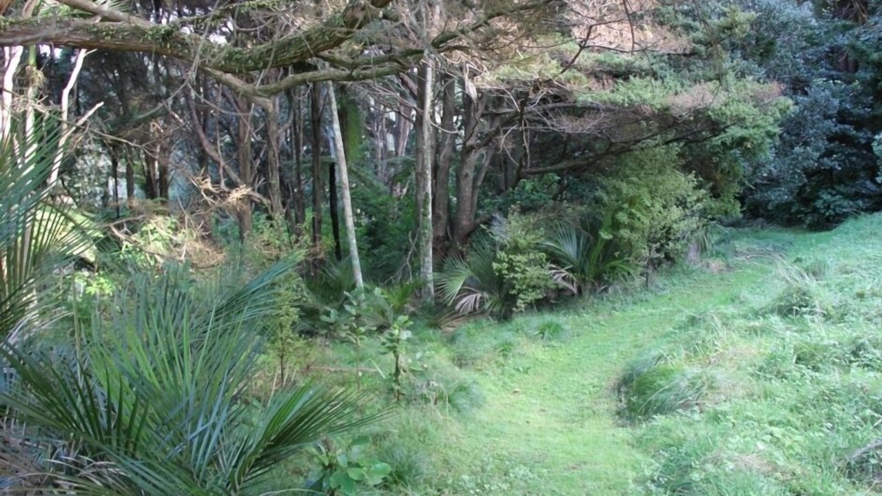 Photo of Others in Whangateau