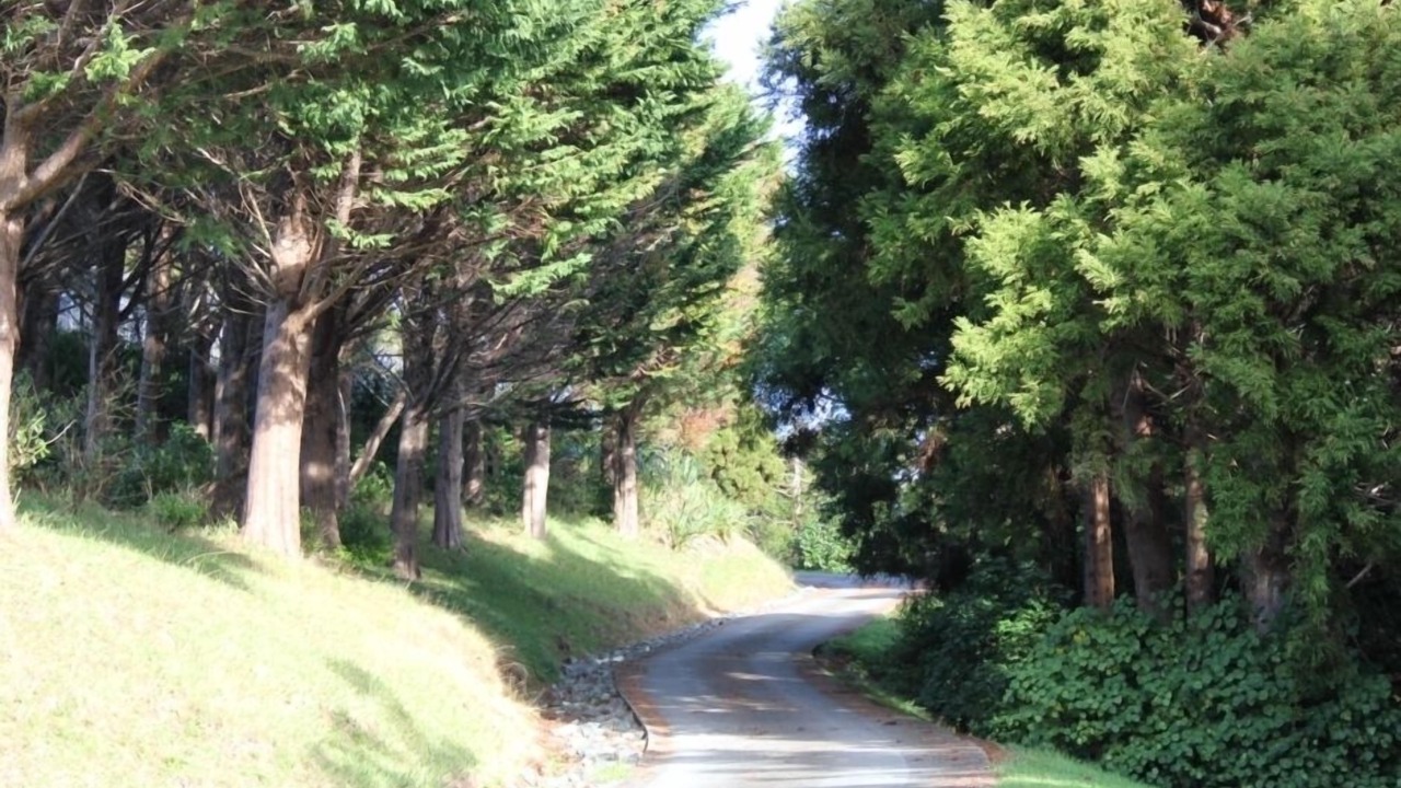 Photo of Others in Whangateau