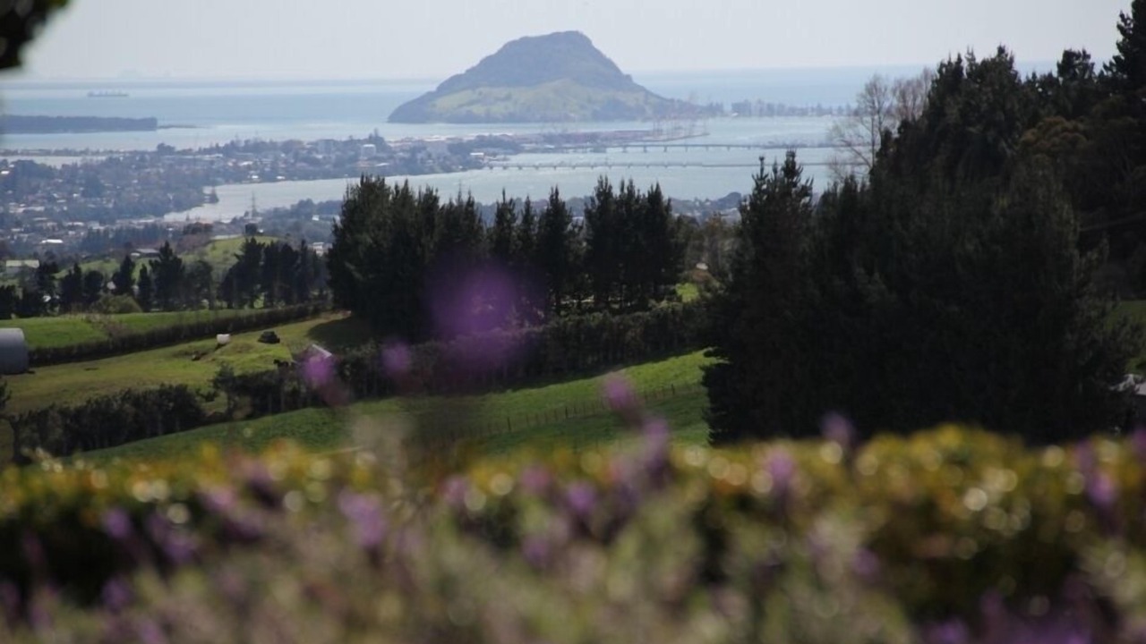 Photo of Others in Ohauiti